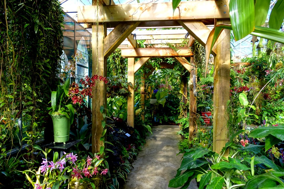 Interior view - Marie Selby Botanical Gardens - Sarasota, Florida - DSC00851