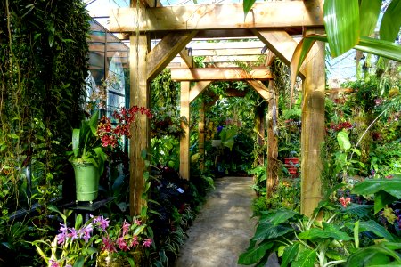 Interior view - Marie Selby Botanical Gardens - Sarasota, Florida - DSC00851