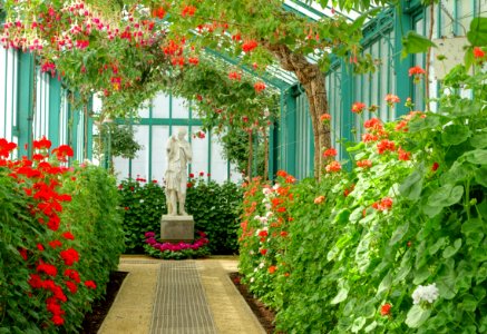 Interior view - Laeken Royal Greenhouses - Royal Castle of Laeken - Brussels, Belgium - DSC07312