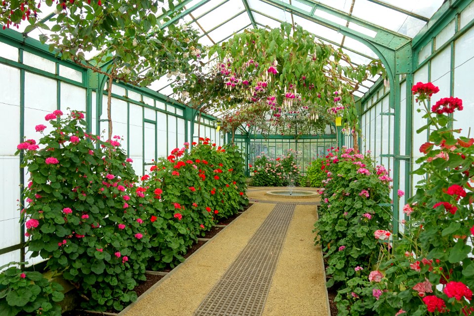 Interior view - Laeken Royal Greenhouses - Royal Castle of Laeken - Brussels, Belgium - DSC07160