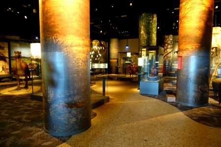 Interior view - Swedish Museum of Natural History - Stockholm, Sweden - DSC00726