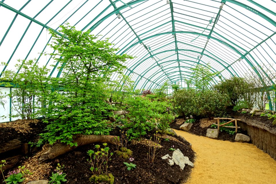 Interior view - Laeken Royal Greenhouses - Royal Castle of Laeken - Brussels, Belgium - DSC07278