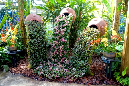 Interior view - Marie Selby Botanical Gardens - Sarasota, Florida - DSC01017