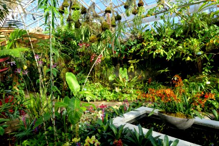 Interior view - Marie Selby Botanical Gardens - Sarasota, Florida - DSC00855