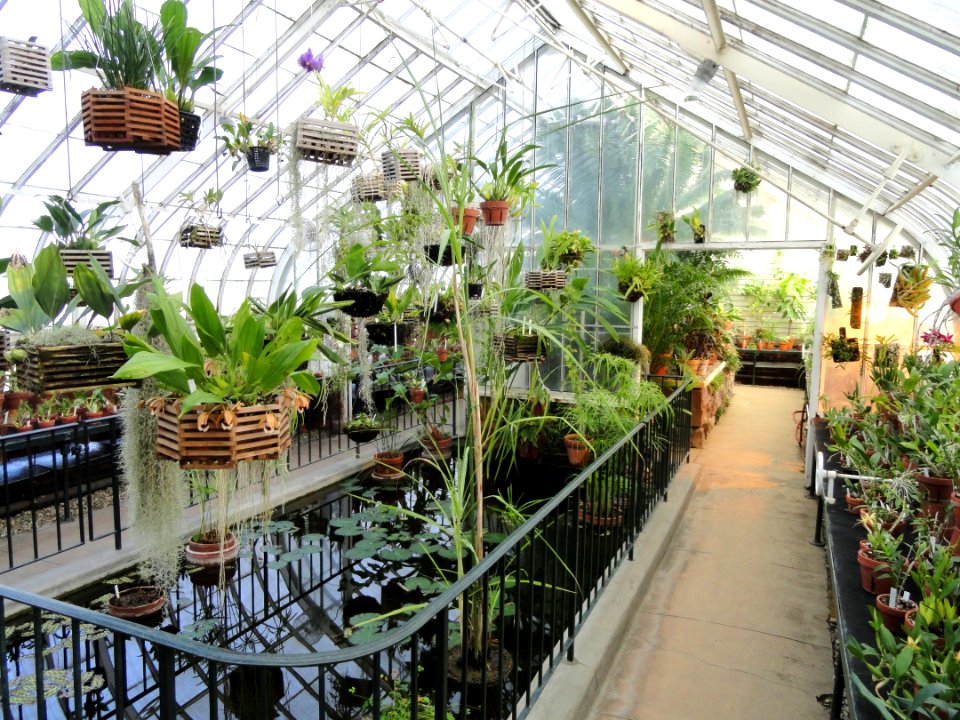 Interior view - Talcott Greenhouse - Mount Holyoke College - DSC04499