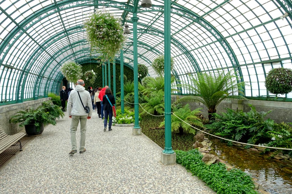 Interior view - Laeken Royal Greenhouses - Royal Castle of Laeken - Brussels, Belgium - DSC07186
