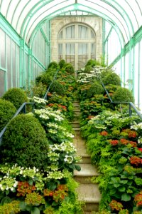 Interior view - Laeken Royal Greenhouses - Royal Castle of Laeken - Brussels, Belgium - DSC07240
