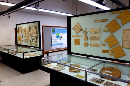 Interior with exhibit cases - Fisher Museum (Harvard Forest) - DSC07395