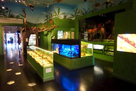 Interior view - Swedish Museum of Natural History - Stockholm, Sweden - DSC00677