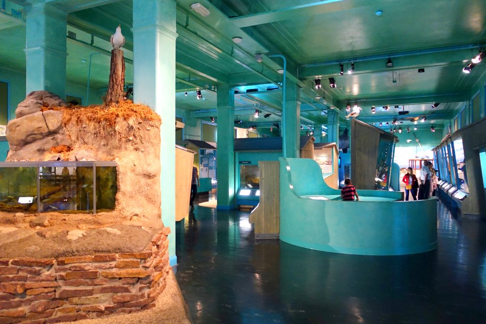 Interior view - Swedish Museum of Natural History - Stockholm, Sweden - DSC00579
