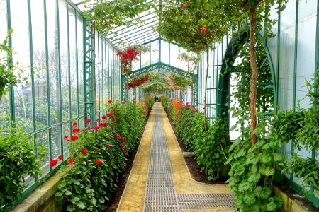 Interior view - Laeken Royal Greenhouses - Royal Castle of Laeken - Brussels, Belgium - DSC07296