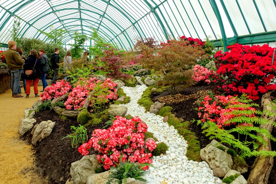 Interior view - Laeken Royal Greenhouses - Royal Castle of Laeken - Brussels, Belgium - DSC07266