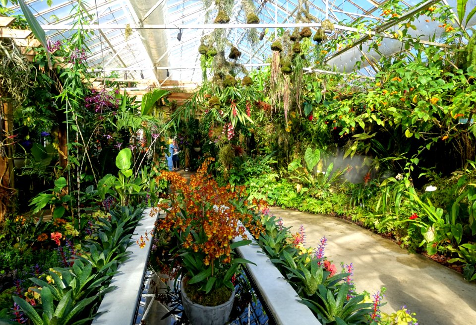 Interior view - Marie Selby Botanical Gardens - Sarasota, Florida - DSC00849