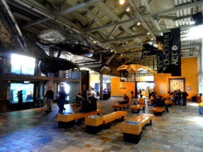 Interior view - MBA - DSC07100