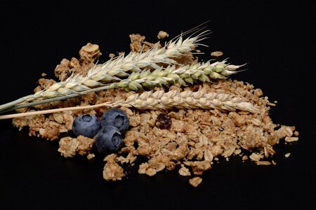 Grain cereals eat photo