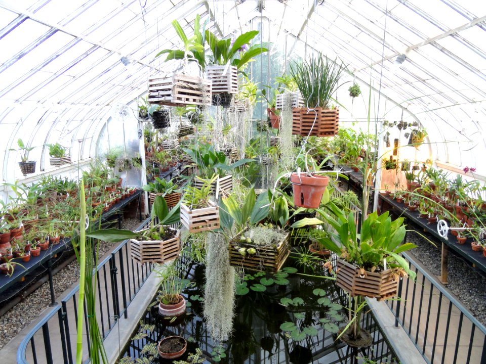 Interior view - Talcott Greenhouse - Mount Holyoke College - DSC04523
