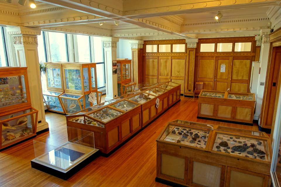 Interior of Redpath Museum - Redpath Museum - McGill University - Montreal, Canada - DSC08274