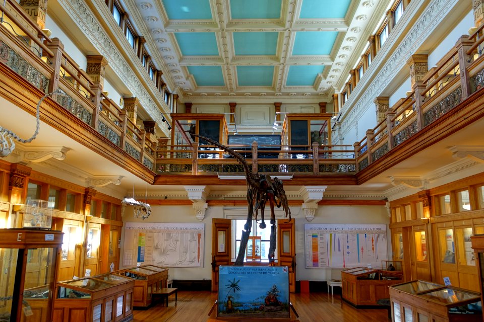Interior of Redpath Museum - McGill University - Montreal, Canada - DSC08079