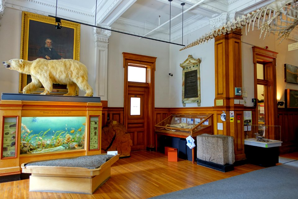 Interior of Redpath Museum - McGill University - Montreal, Canada - DSC07752