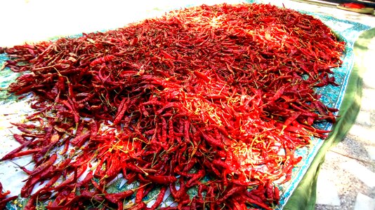 Hot spice seasoning