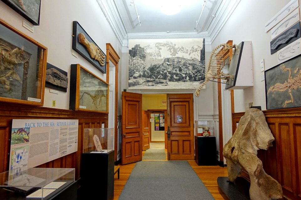 Interior of Redpath Museum - McGill University - Montreal, Canada - DSC07772