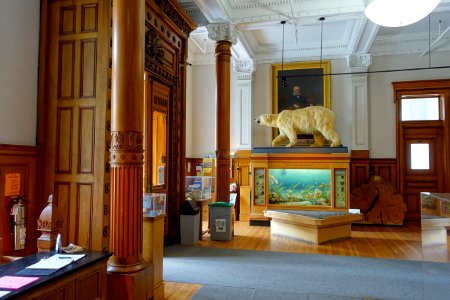 Interior of Redpath Museum - McGill University - Montreal, Canada - DSC07741