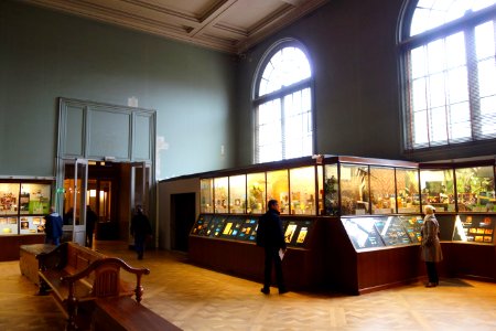 Interior view - Royal Museum for Central Africa - DSC06711