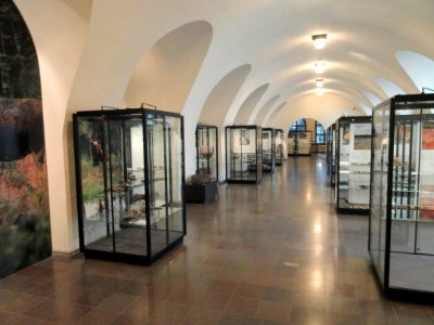Interior view - National Museum of Finland - DSC04166