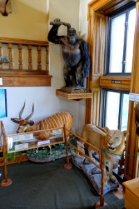 Interior of Redpath Museum - McGill University - Montreal, Canada - DSC08083