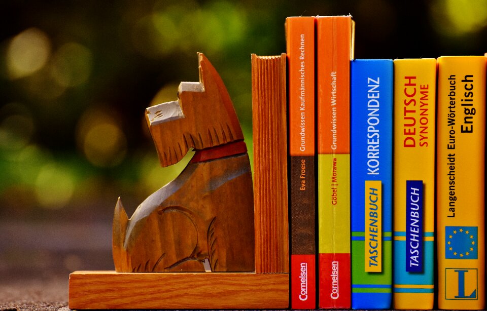 Read library information