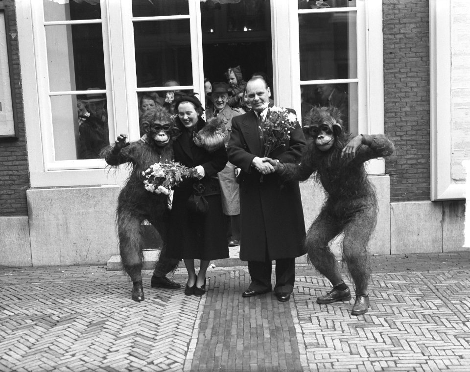 Huwelijk van de buffetjuffrouw Blanken van het theater Carré. Bruidegom en bruid, Bestanddeelnr 904-2749