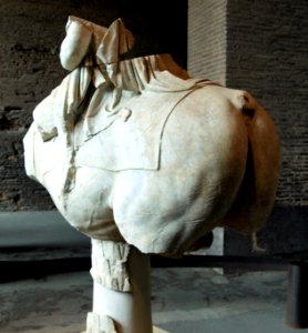 Interior of the Colosseum, exposition pic-002