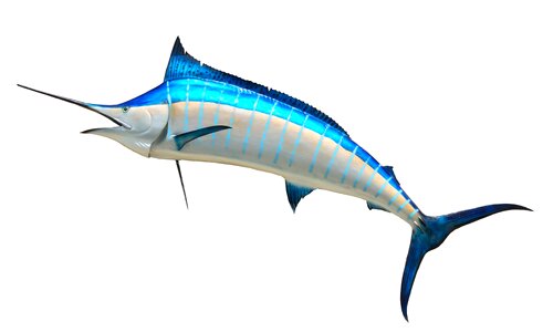 Fishing game marlin