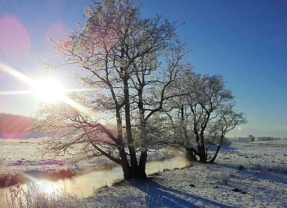 Ansager landscape wood
