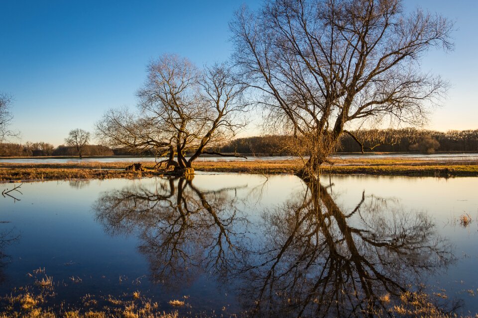 River current nature