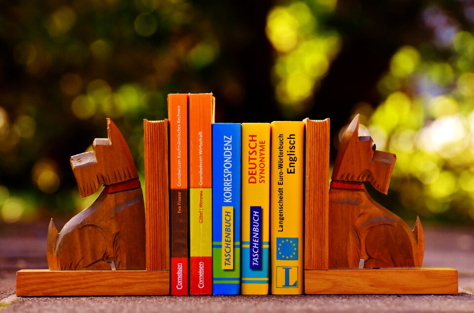 Read library information
