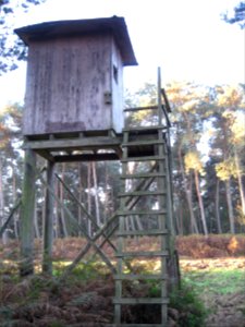 Hunting Stand, Reichswald, Germany