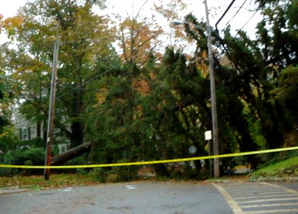 Hurricane Sandy photos Summit NJ 6