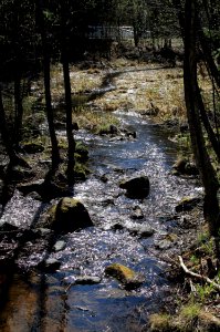 Hupisaaret Oulu 20140518