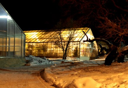 Hupisaaret Islands Greenhouses Oulu 20130105 02