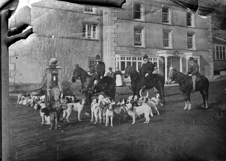 Hunting with dogs (1294647)