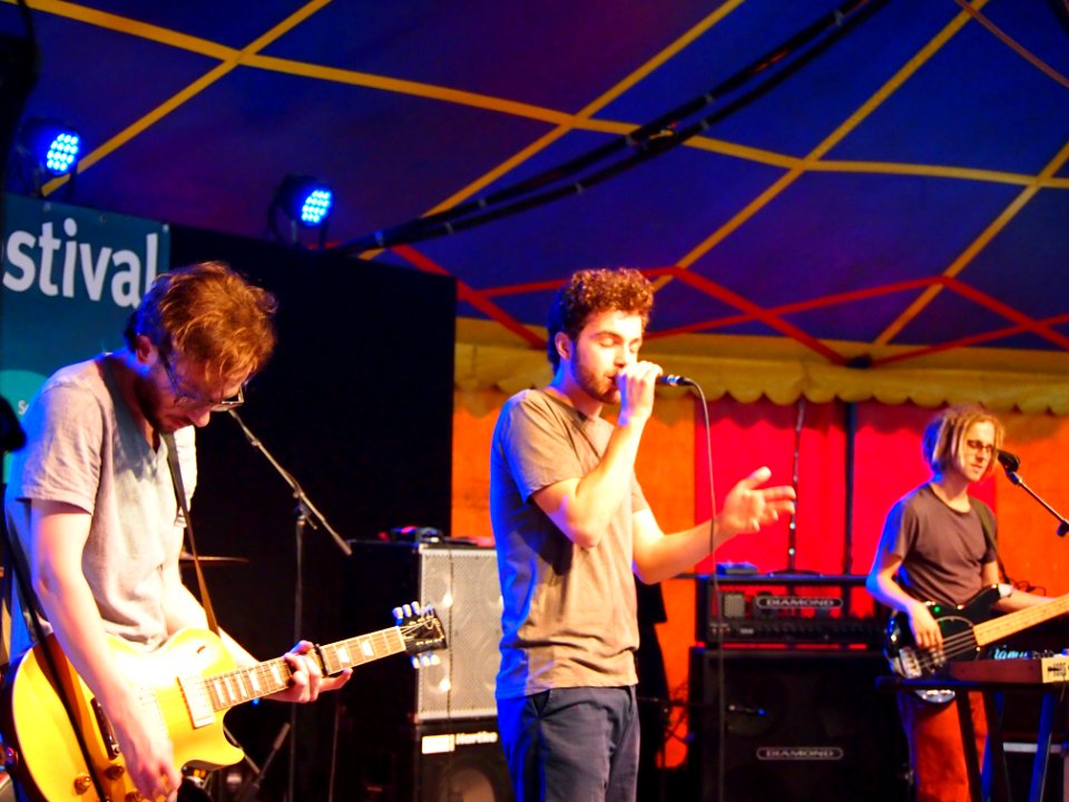 Hurrykayne Tollwood 2014 (07)