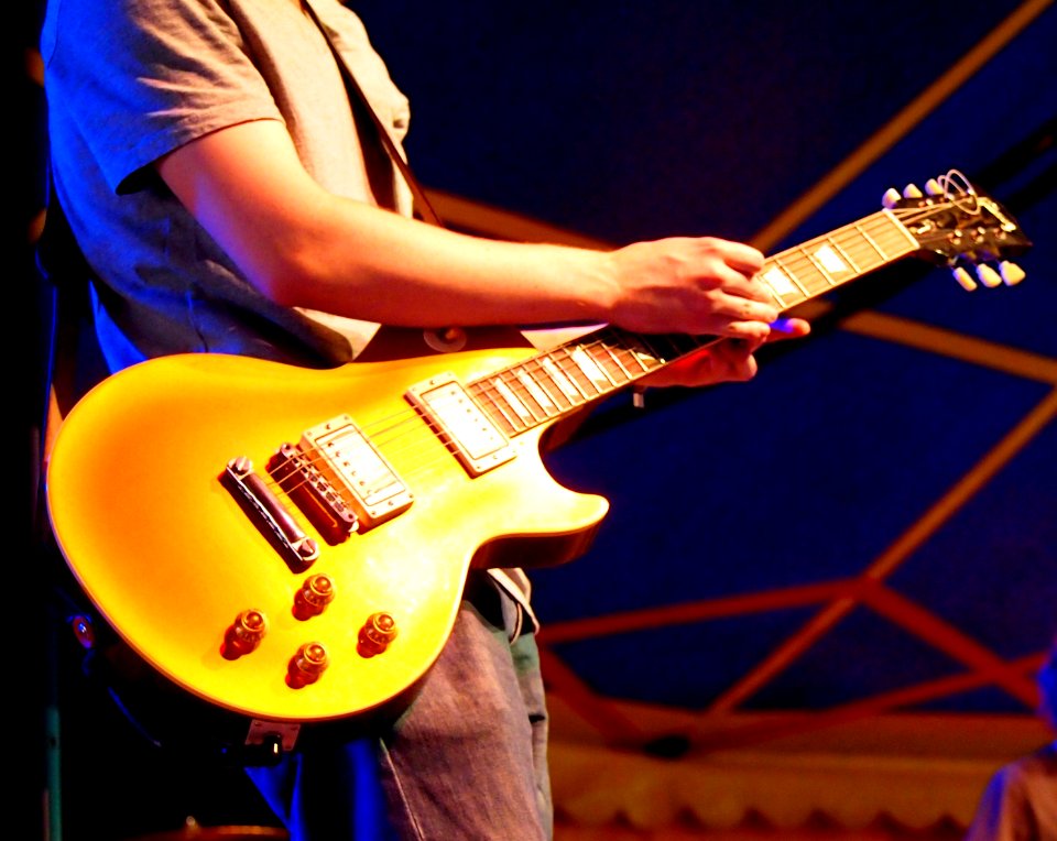 Hurrykayne Tollwood 2014 (06)