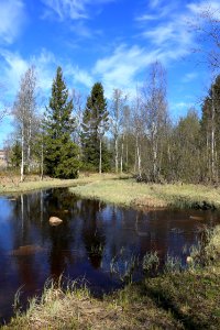Hupisaaret Oulu 20190518