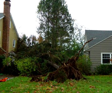 Hurricane Sandy photos Summit NJ 7