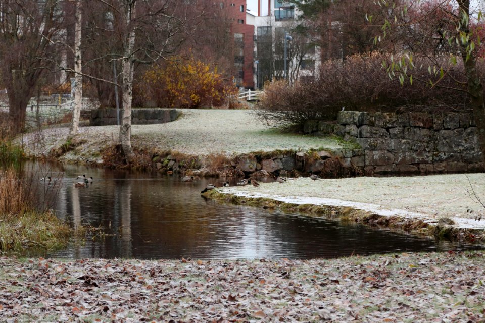 Hupisaaret Oulu 20201031 04