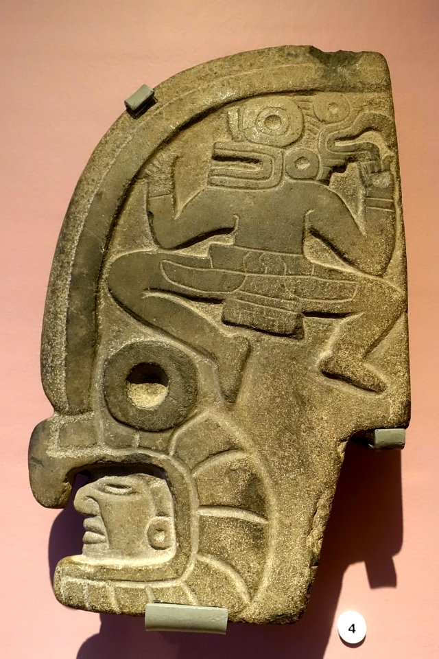Human head with bird head helmet, Maya, Mexico, Veracruz, 700-900 AD, stone - Meso-American collection - Peabody Museum, Harvard University - DSC05981