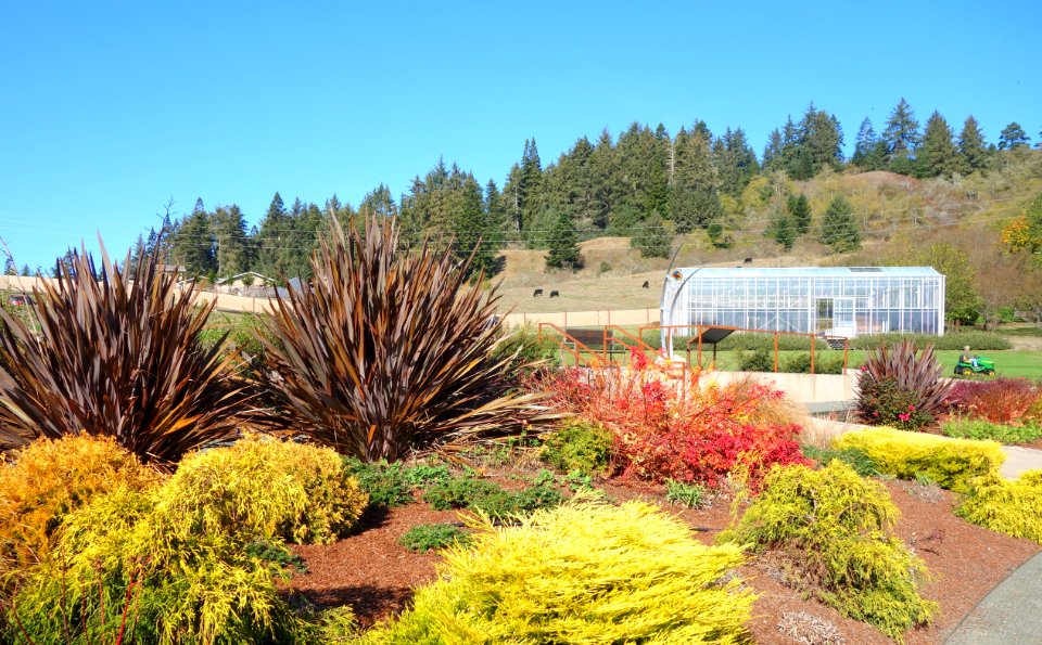 Humboldt Botanical Garden - Eureka, California - DSC02551