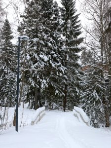 Hupisaaret Islands Oulu 20200131 04