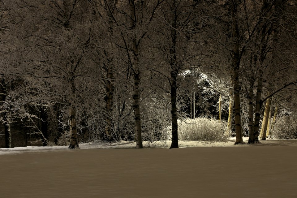 Hupisaaret Oulu 20160212 02